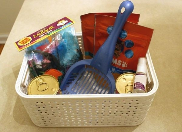 New Kitten Gift Basket