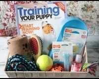 New Puppy Gift Basket