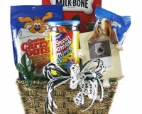 Pet Birthday Supplies