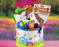 Pet (Cat) Gift Basket
